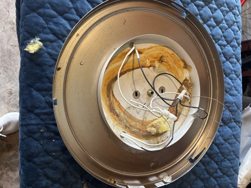 Restoration Hardware Drum Ceiling Light (4).jpeg