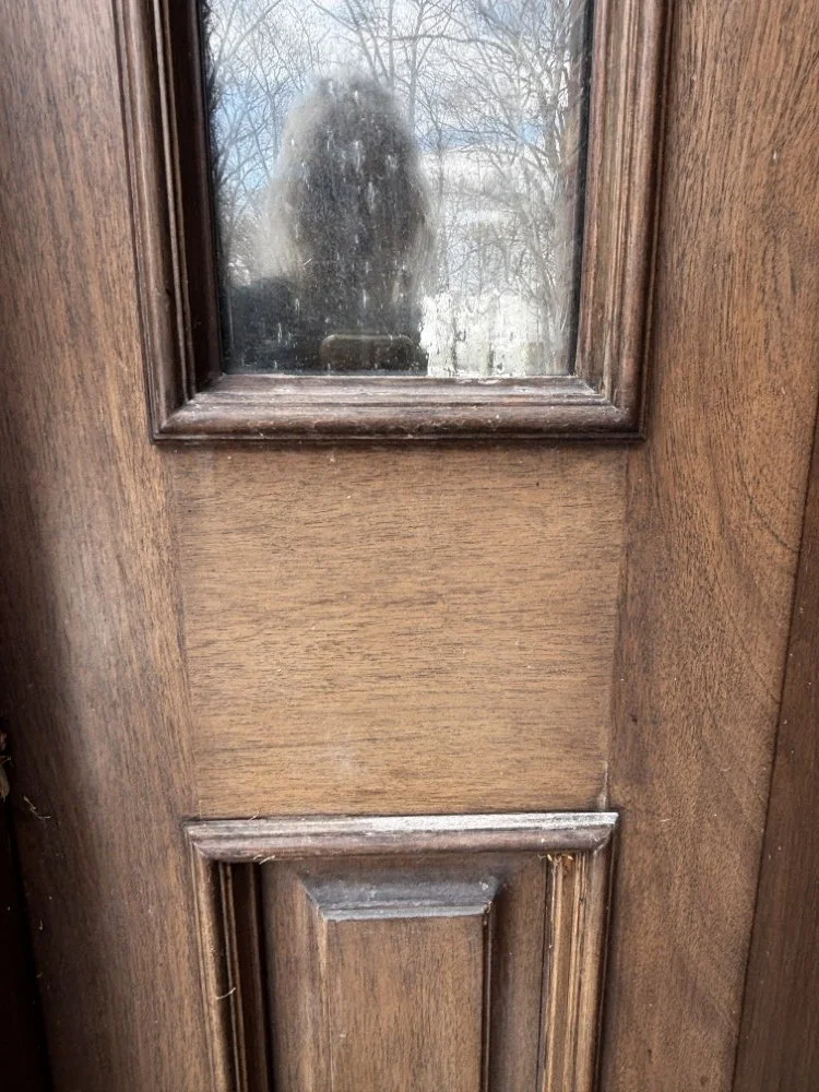 Mahogany Entrance Door with Side lights (4).jpeg