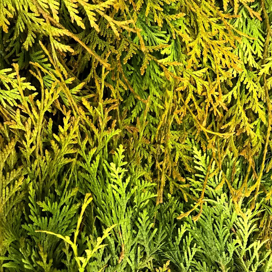 Annual Sales — Portage County Soil & Water Conservation District