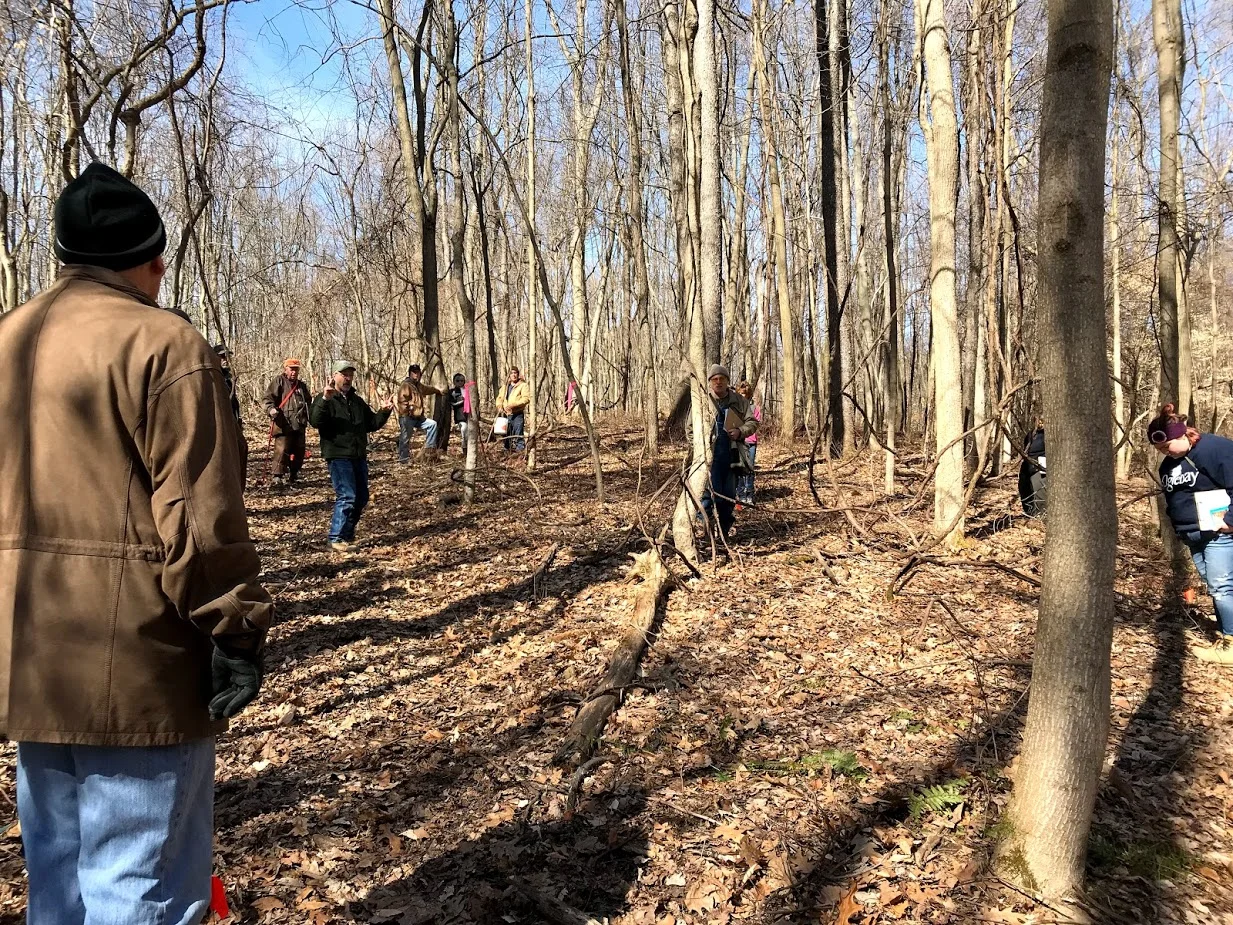 communityworkshops_expforest_markwilthew_th.jpg