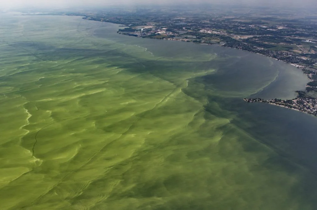 Lake-Erie-algal-bloom-Aerial-Associates-Photography-1024x0-c-default.jpg