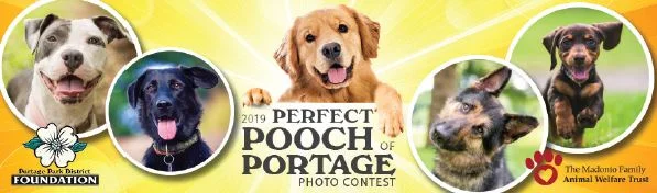 2019 Perfect Pooch of Portage Photo Contest