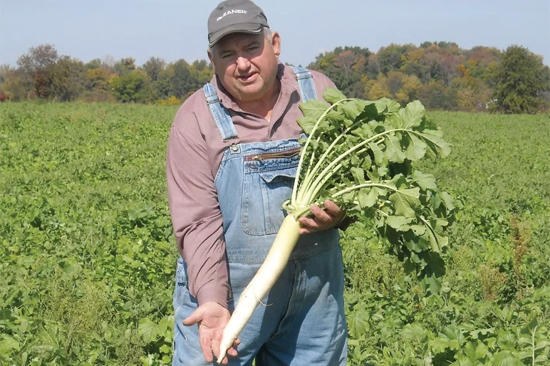 Dave Brandt with Tillage Radish