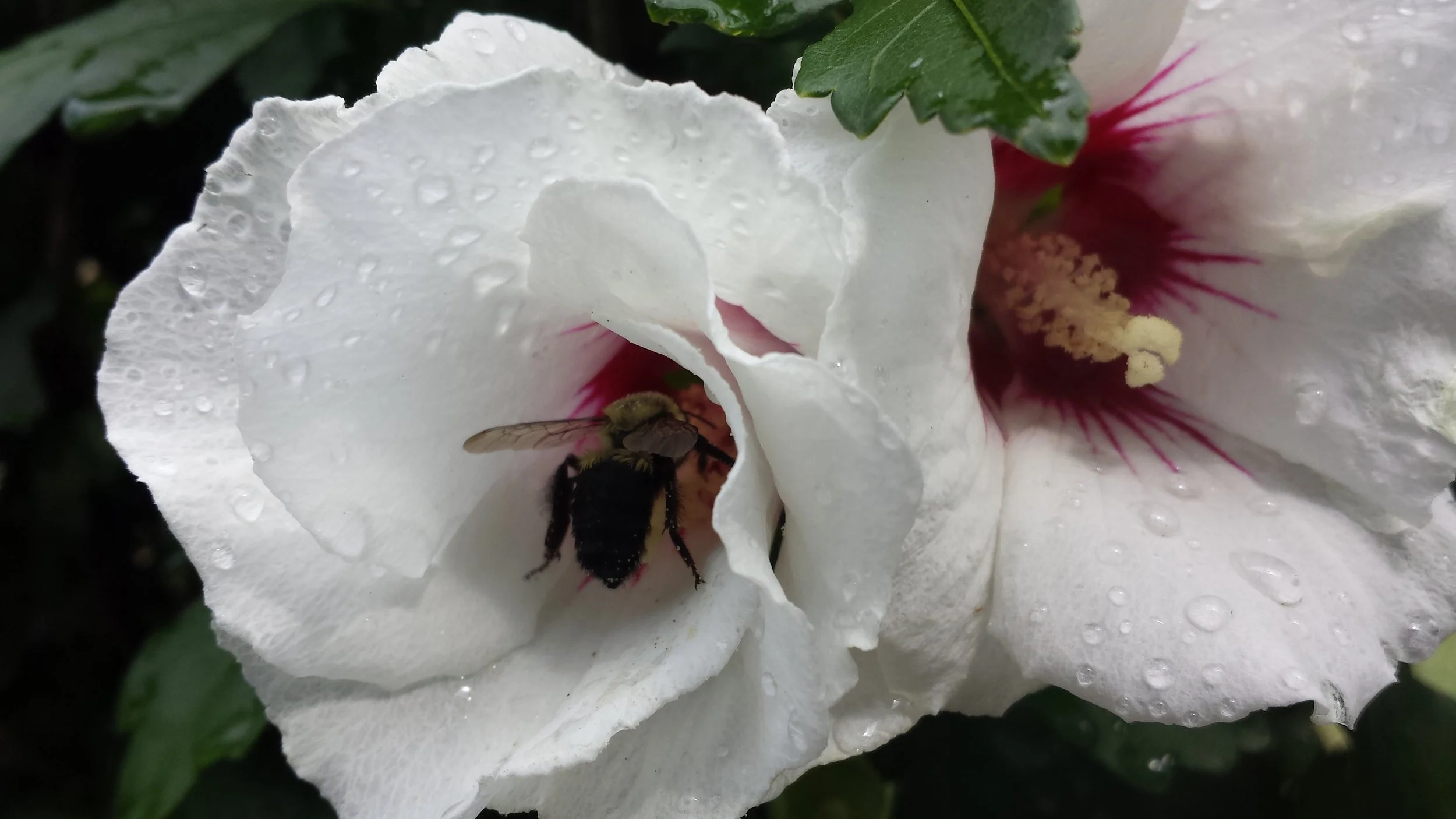 20150810_155211.jpg