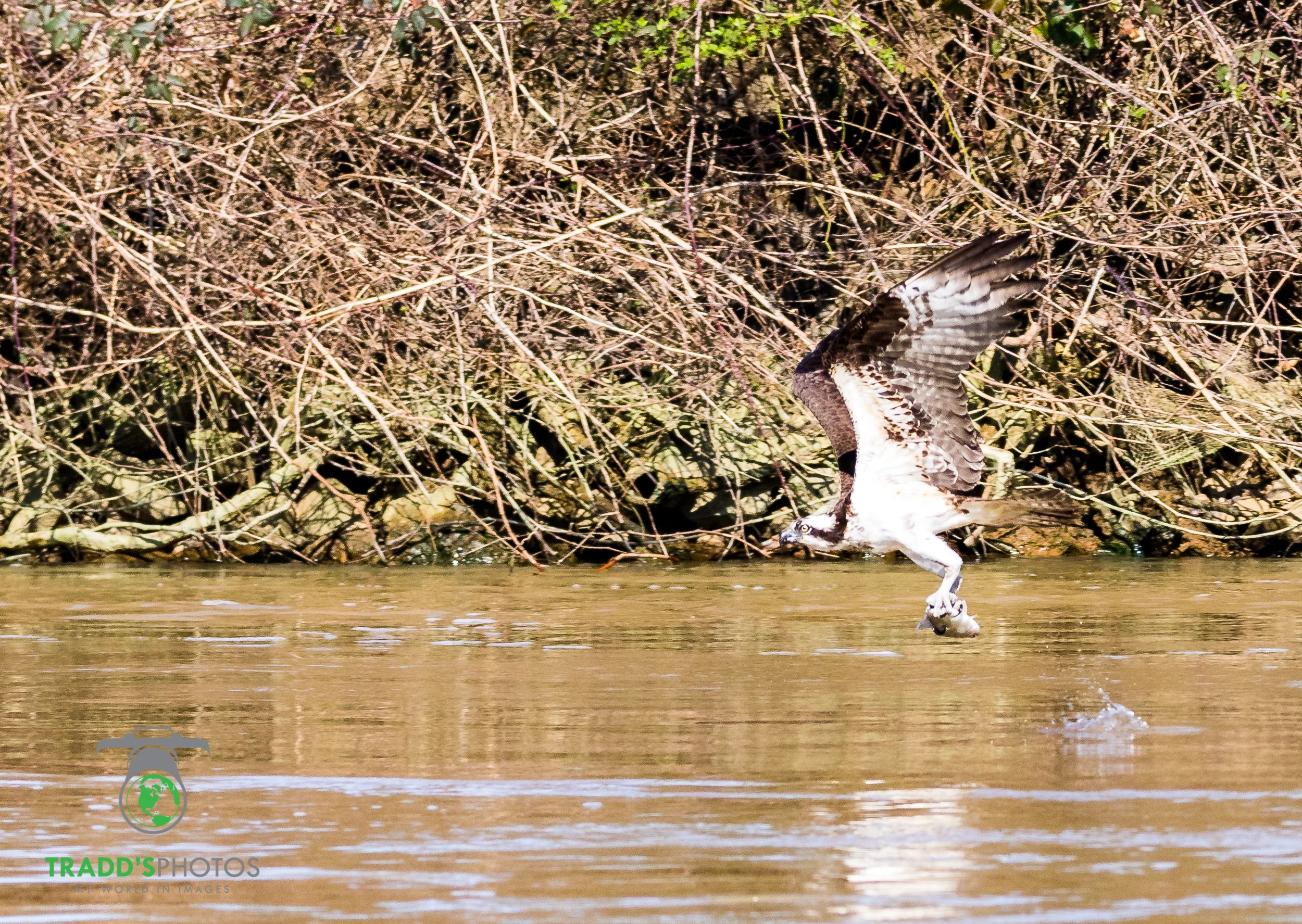 _MG_5884.jpg