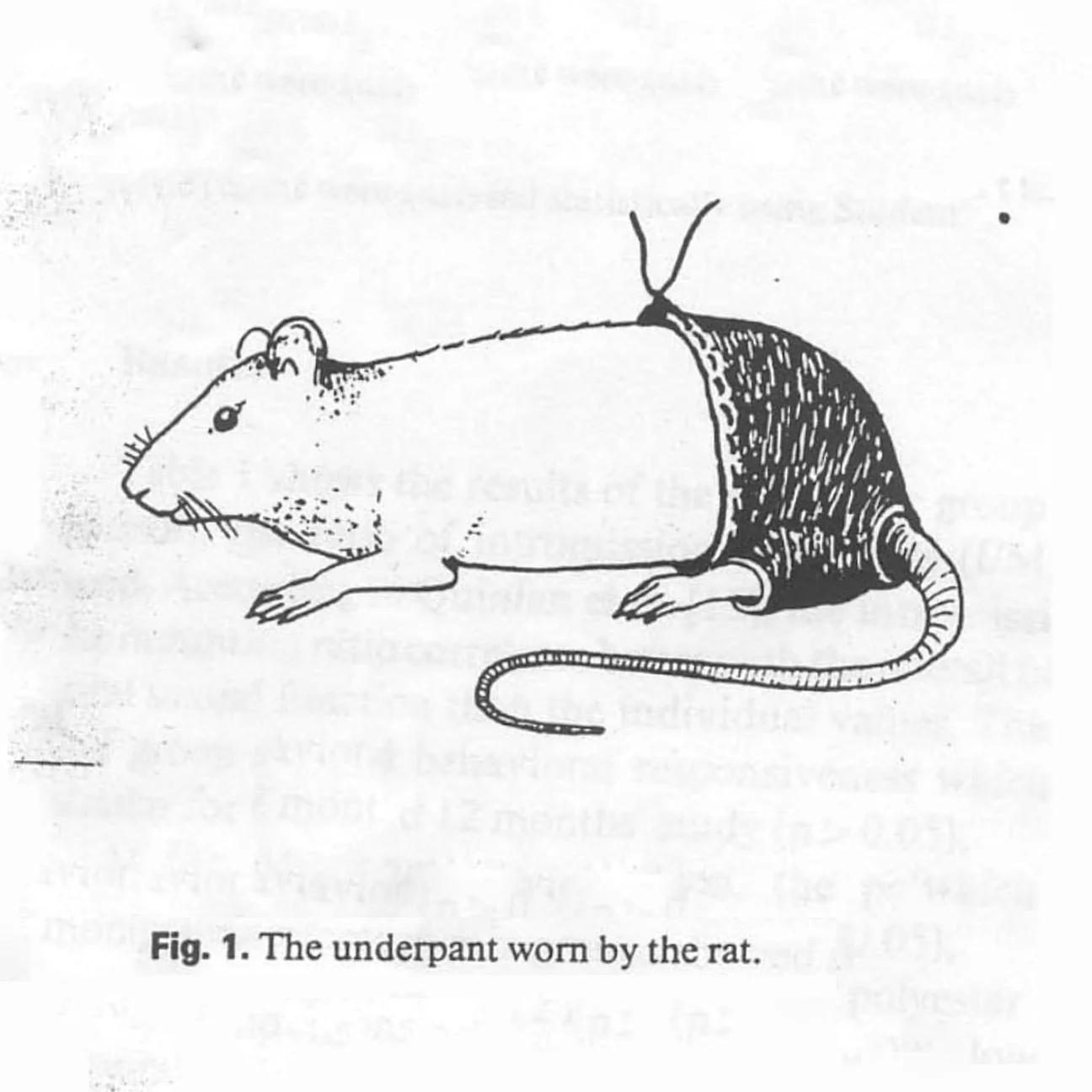 rat-trousers-paper.jpg