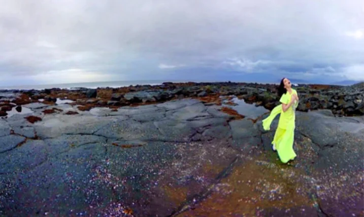 Last week I stood on a beach with Björk