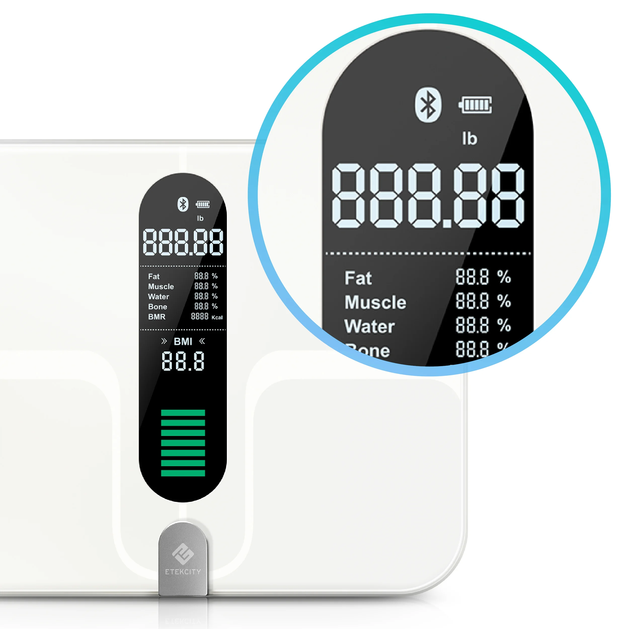 Clear LCD Display Get a clear view of your body metrics at a glance, beautifully displayed on the scale.
