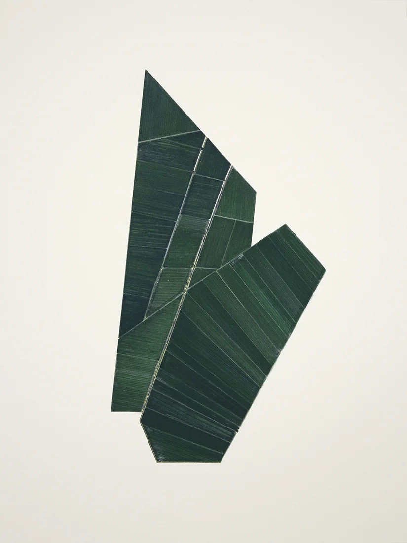 Recortes en el campo mexicano No. 6, 2013 Cutout inkjet print on cotton paper 45 x 60 cm Ed. 1 of 3 + PA