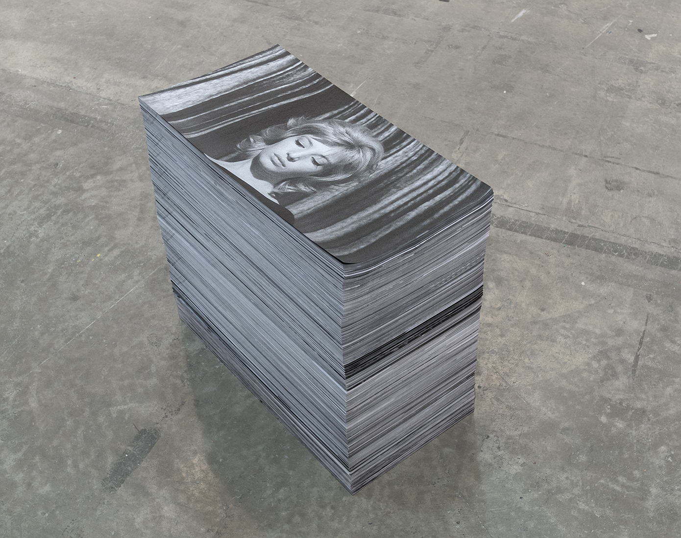    Our feature presentation,  2015.   Intrsuctable for endless supply of 7,287 film stills printed on paper.  32 x 65 cm each. 