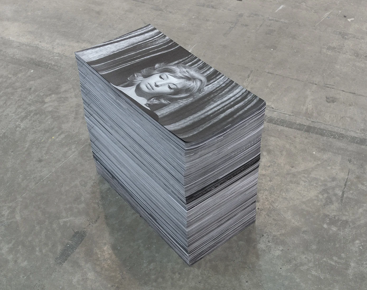Our feature presentation, 2015. Intrsuctable for endless supply of 7,287 film stills printed on paper. 32 x 65 cm each.