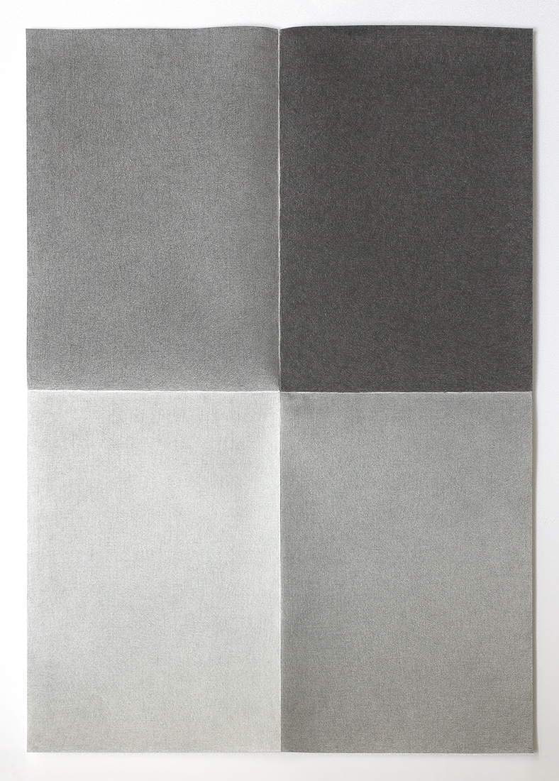    The daily walk , 2013.  Graphite on cotton paper. 70 x 100 cm 