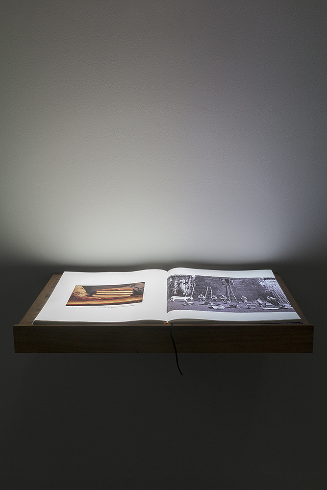    A book for a film (Sayat),  2017.  Full HD Video projection on open book. Book; 30.5 x 34 x 2.7 cm, Lectern; 65 x 39.5 x 15 cm 