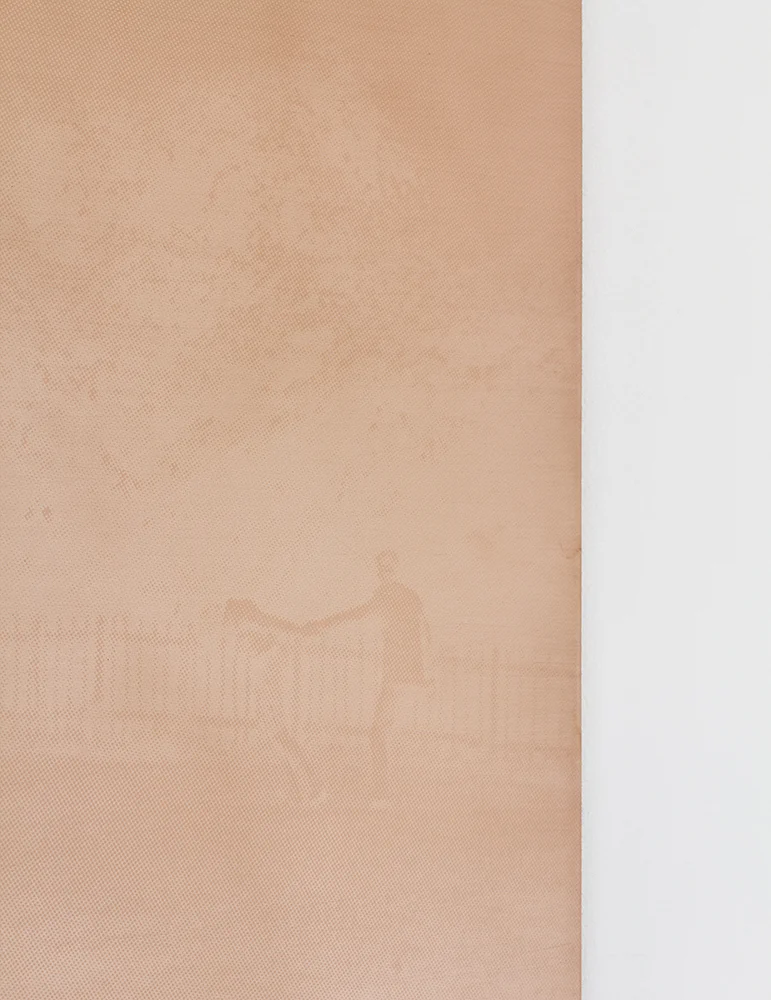 Those photographs in the park, 2017. Detail