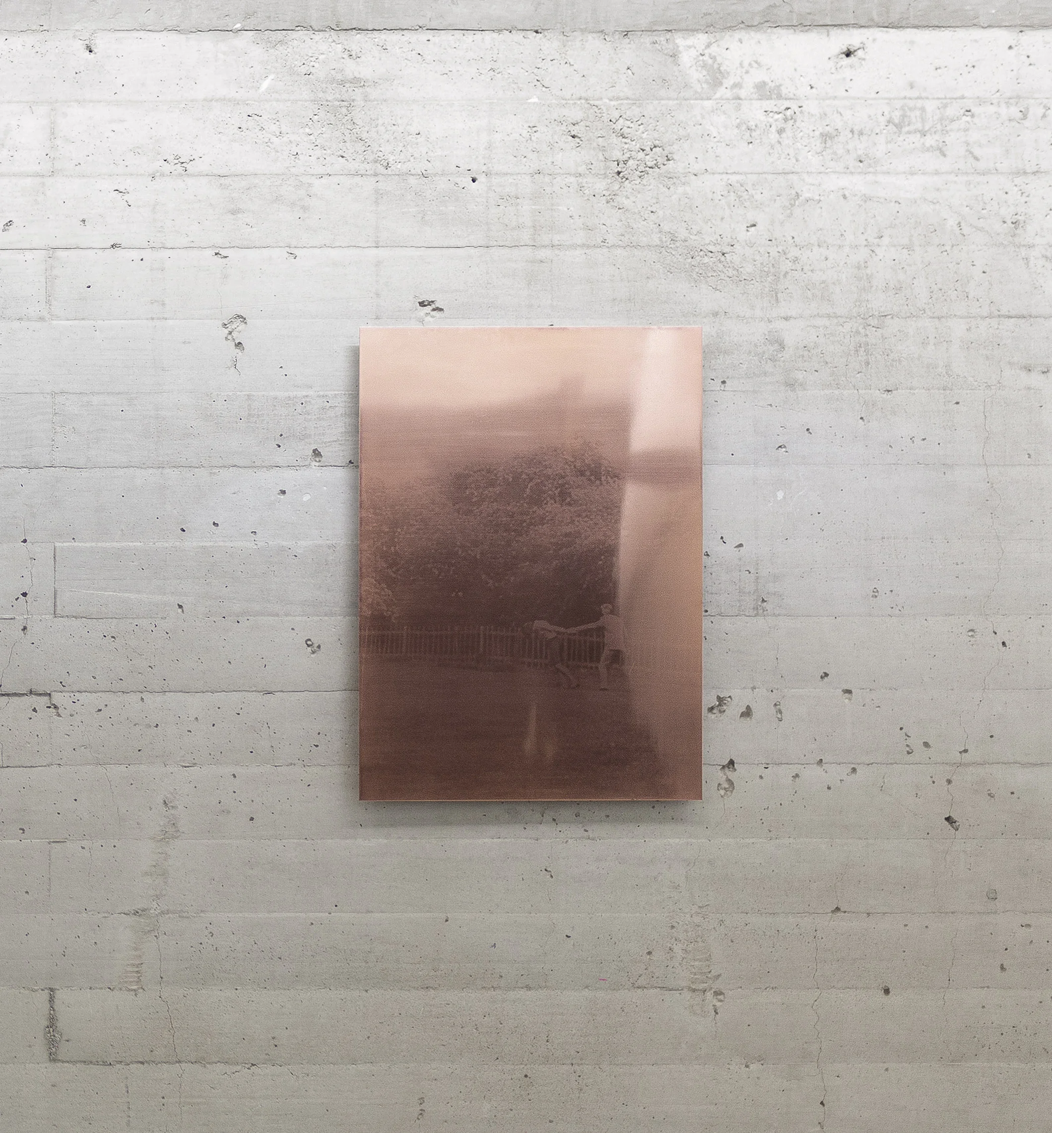 Those photographs in the park, 2017 Copper plate, serigraphy with epoxic lacquer, valchromat and wood. 43.5 x 61cm