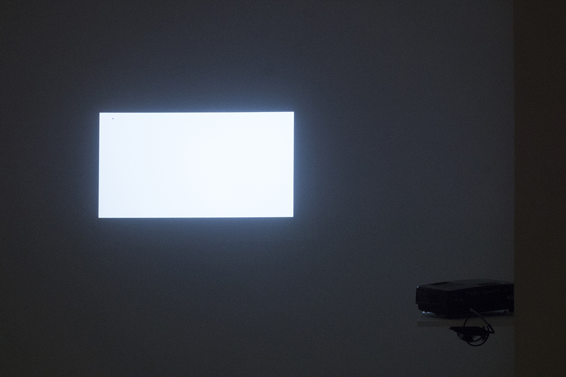   Nothing happens in this video,  2018.  Blank video projection and fly.. Dimensions variable. 