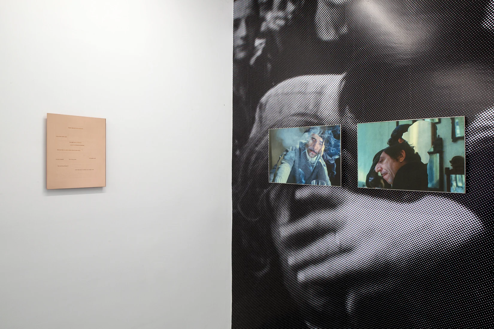 Installation view