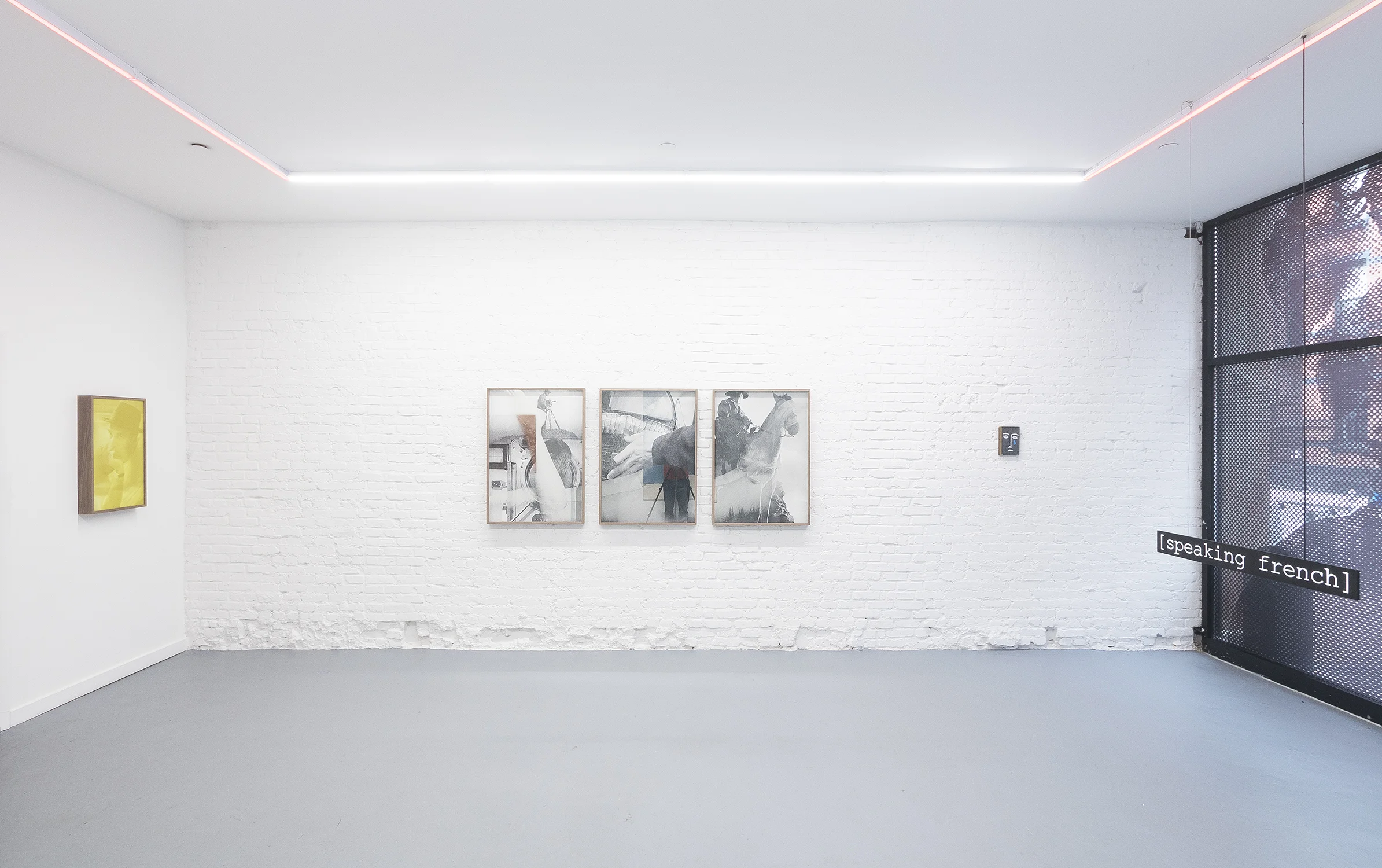   Installation view  