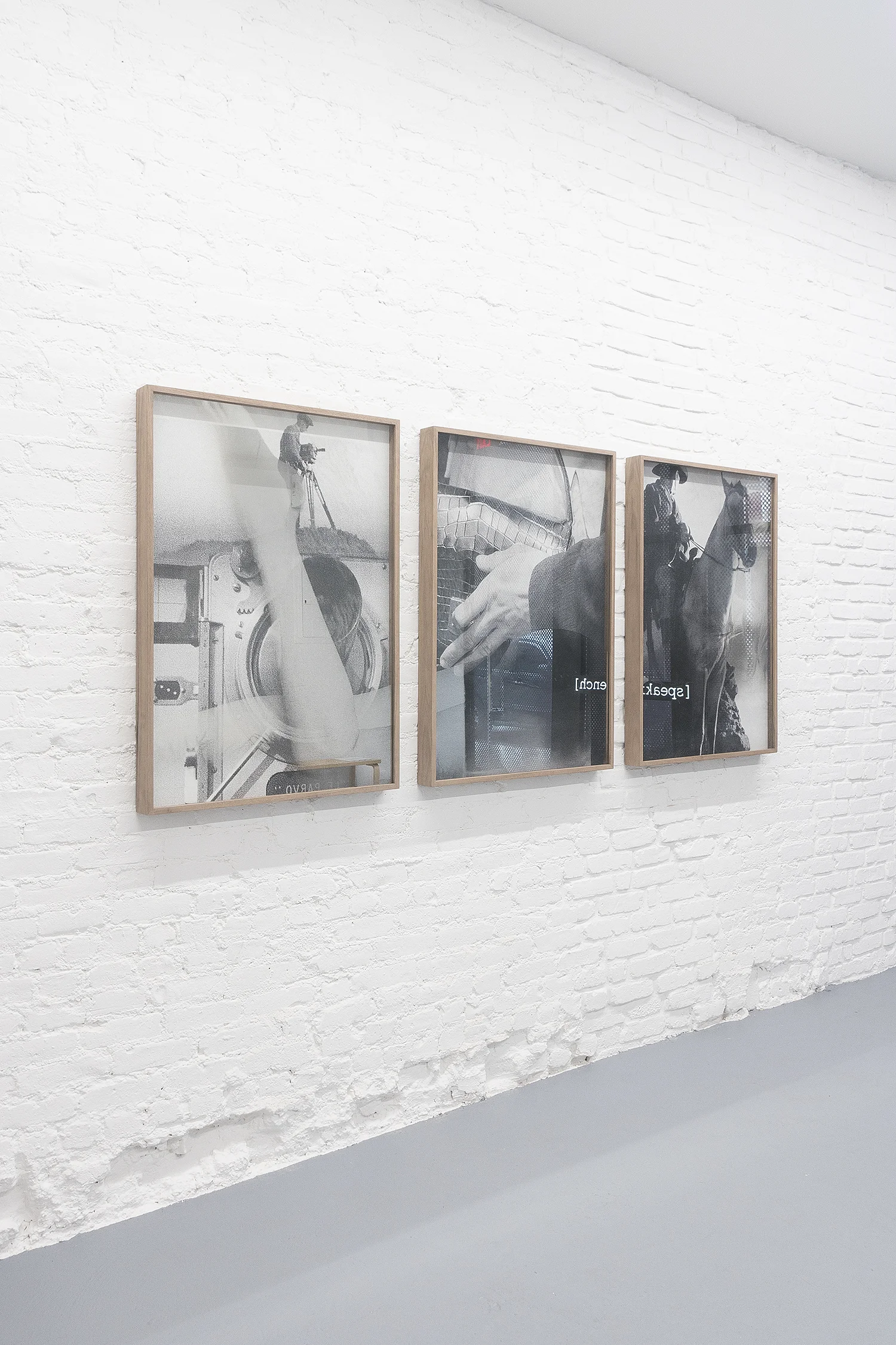 Totally, tenderly, tragically, 2019 Silver silkscreen on glass, archival inkjet print on cotton paper and wood. 69.5cm x 99.5cm. each