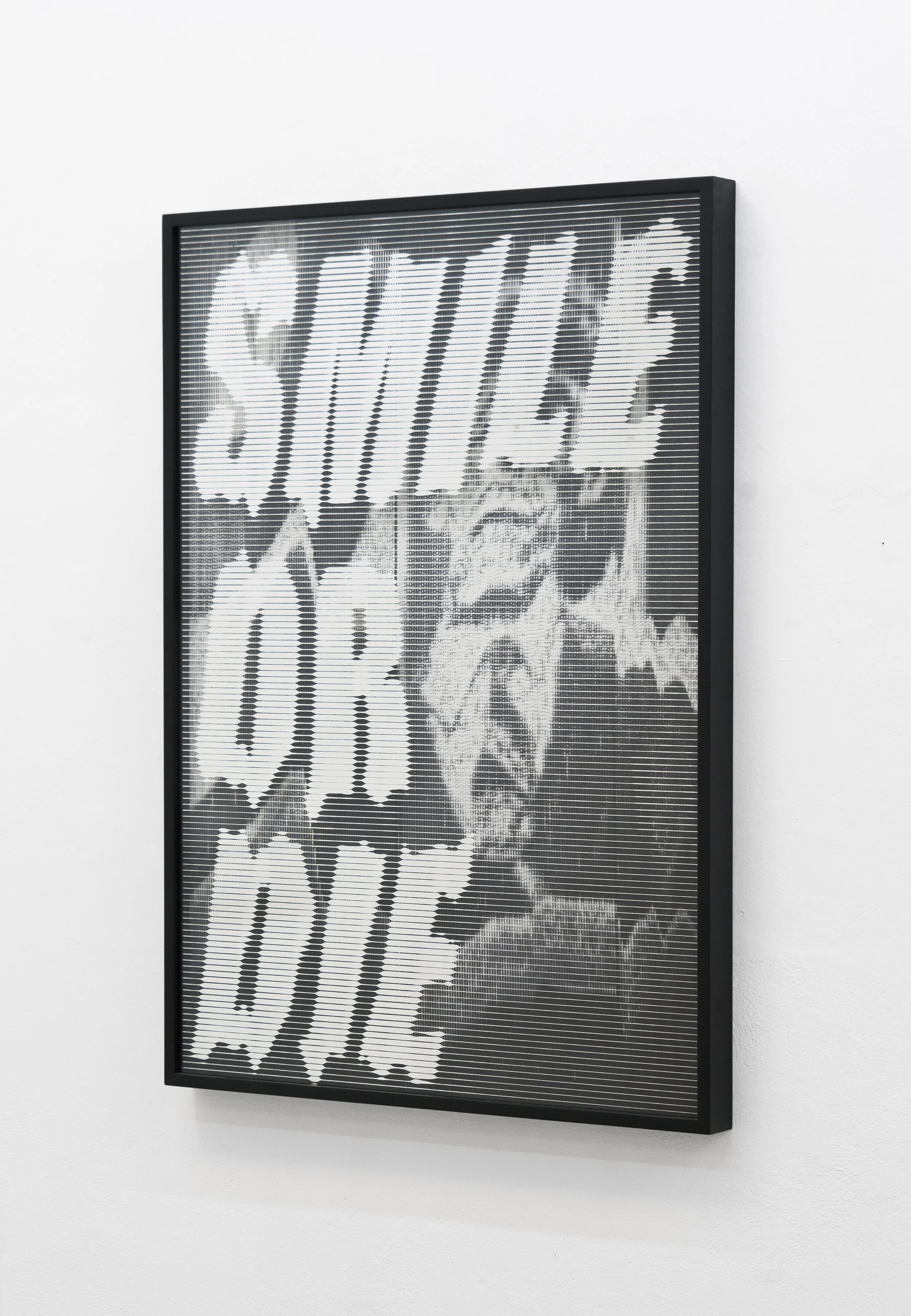 SmileOrDie-00954.jpg