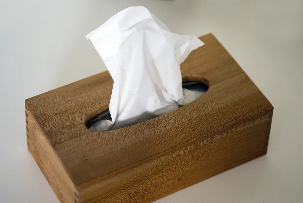 Kosmetiktucher Box Platane Drechslerei Meier