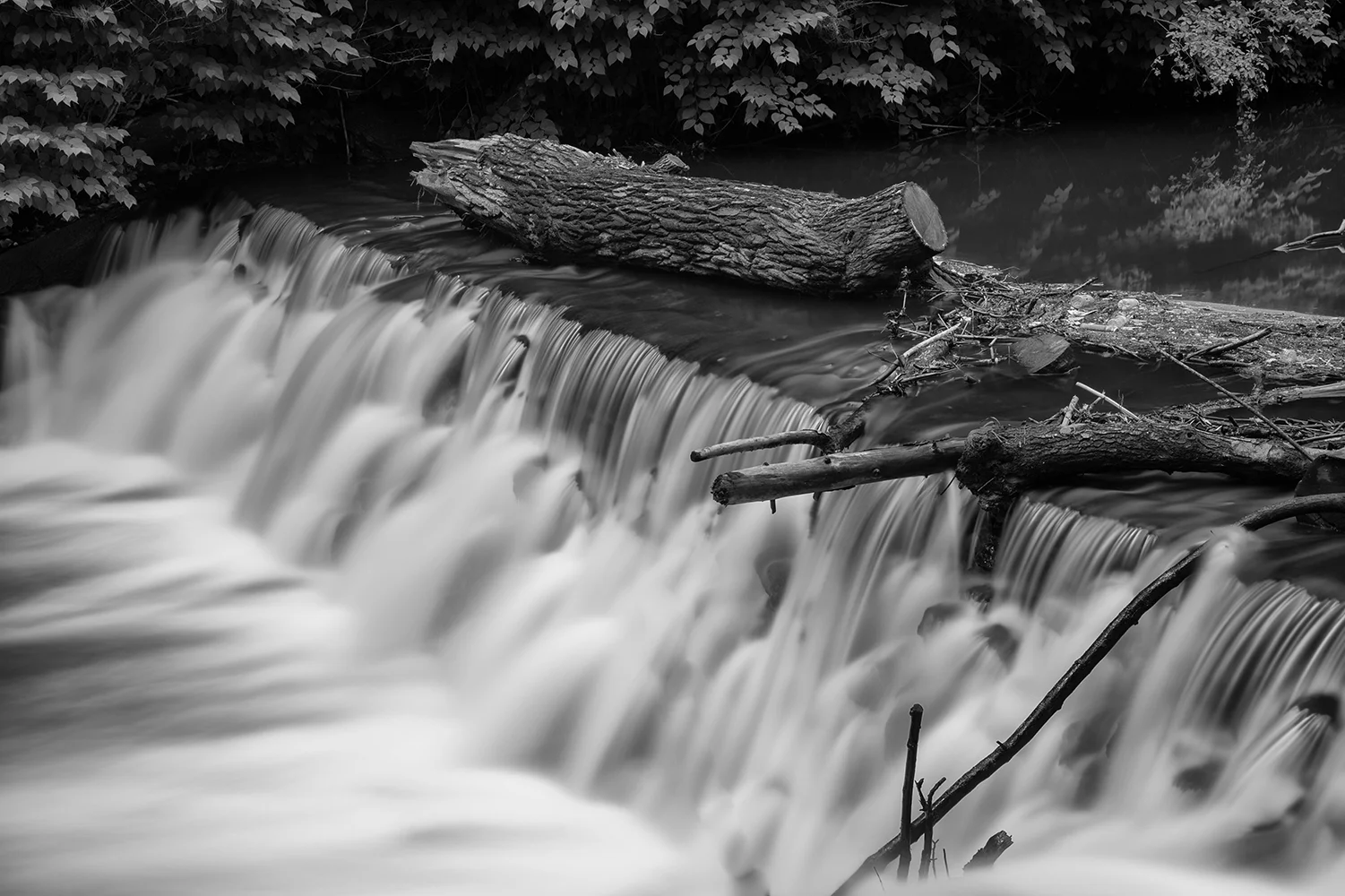 I took this image while on a Photowalk at the NY Botanical Gardens with the crew from B&H -- with help from Gabe Biederman -- my first image taken with a Neutral Density Filter. 