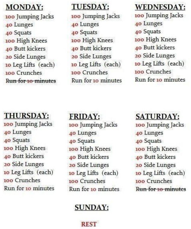 Circuit Training Program For Gym