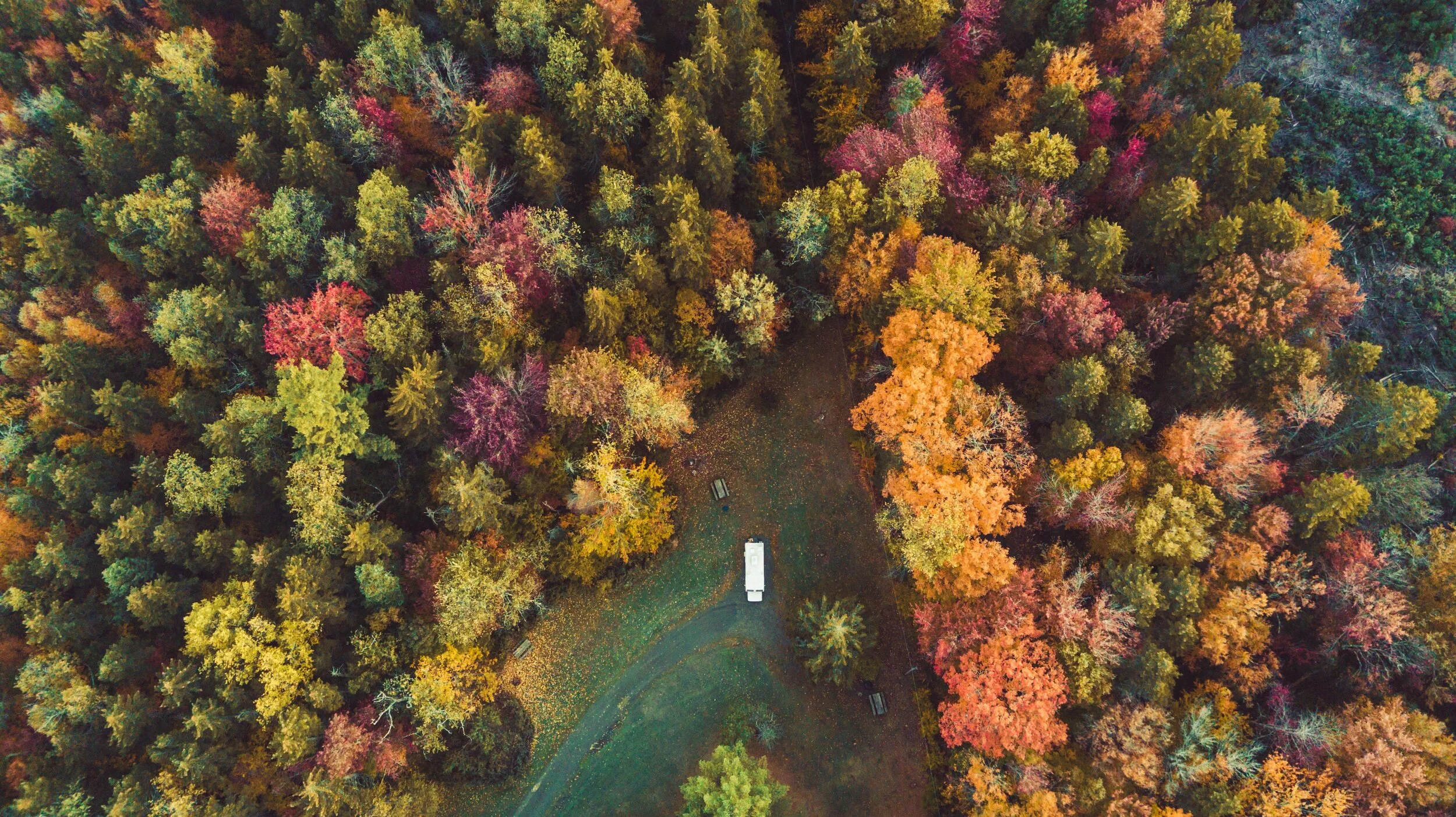 squarespace-0026.jpg