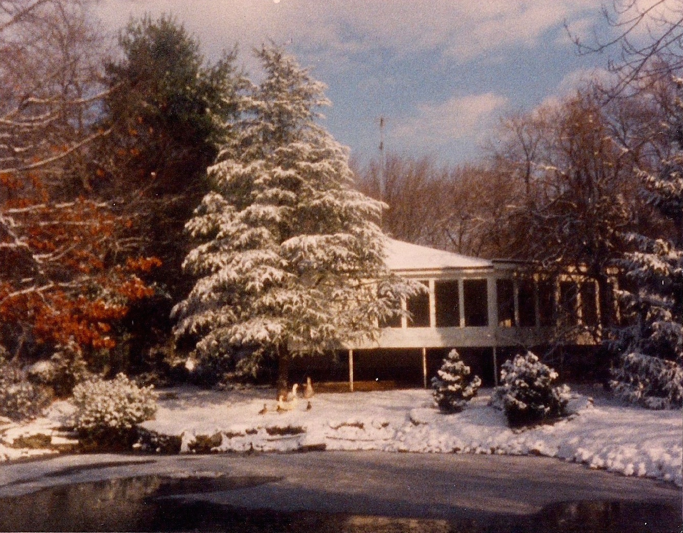 The backyard of Charles's house, where he used to throw extravagant parties. 