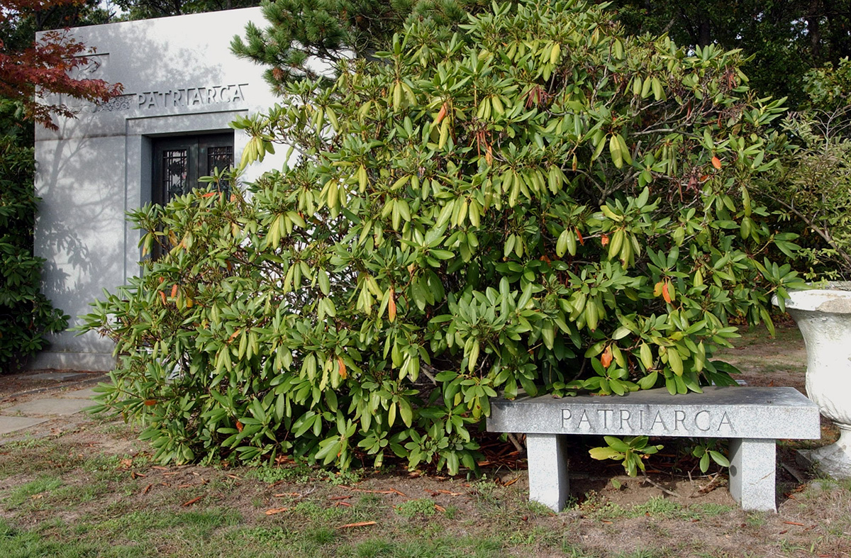 The Patriarca family crypt at the Gate of Heaven Cemetery, where Raymond Patriarca is now buried. Courtesy of The Providence Journal/Mary Murphy.