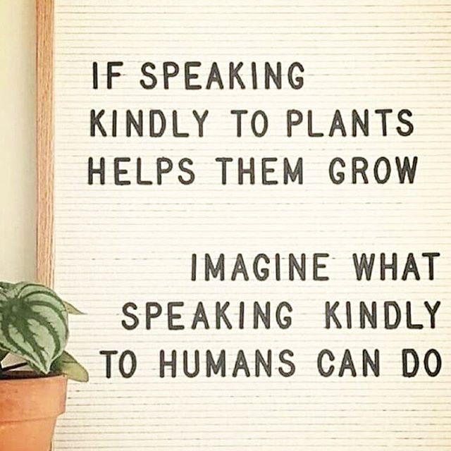 SELF-COMPASSION. // Hands-down, the most discussed topic in my office. When we interrupt our inner critics by offering ourselves compassion, kindness, forgiveness, and understanding, our shame melts, our anxiety dissipates, and we begin to like and e