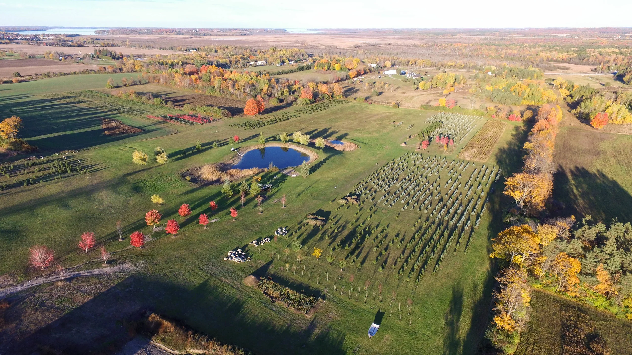 Contact Us — Eastview Tree Farm Port Perry