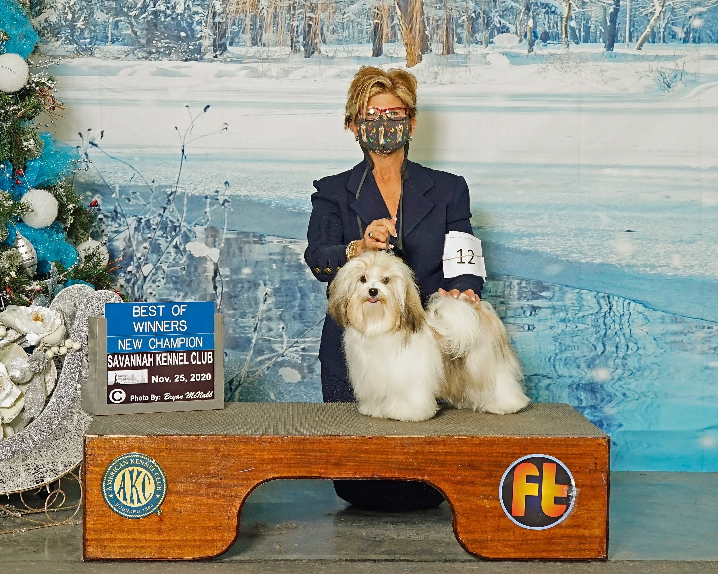 AKC Havanese Puppies Ohio