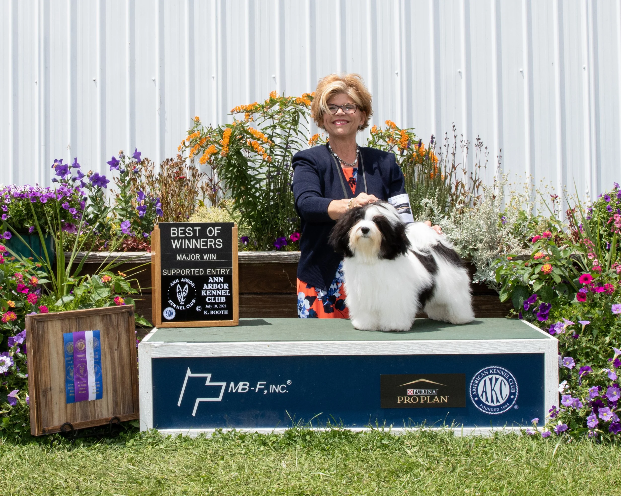 AKC Havanese Breeder Midwest