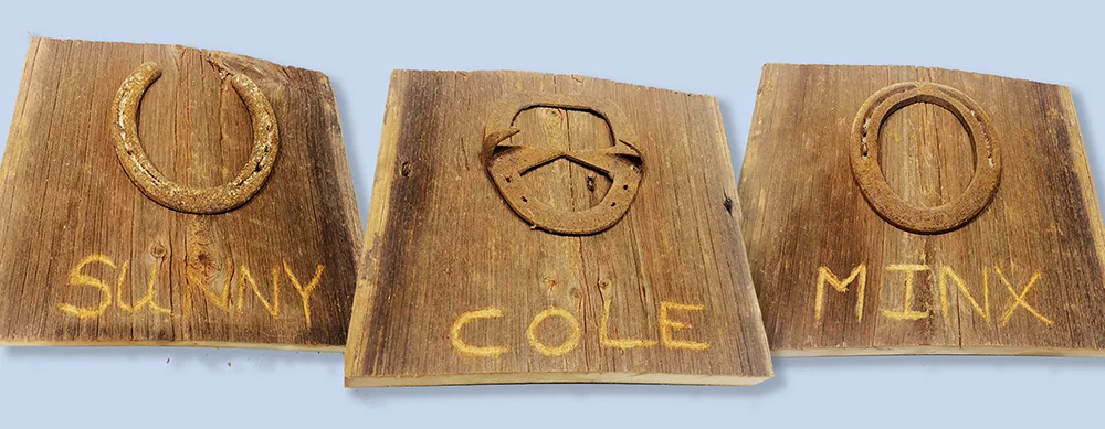Original barn wood plaques + authentic horse shoes