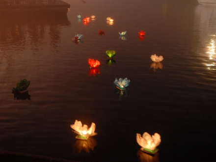 FLowers.jpg
