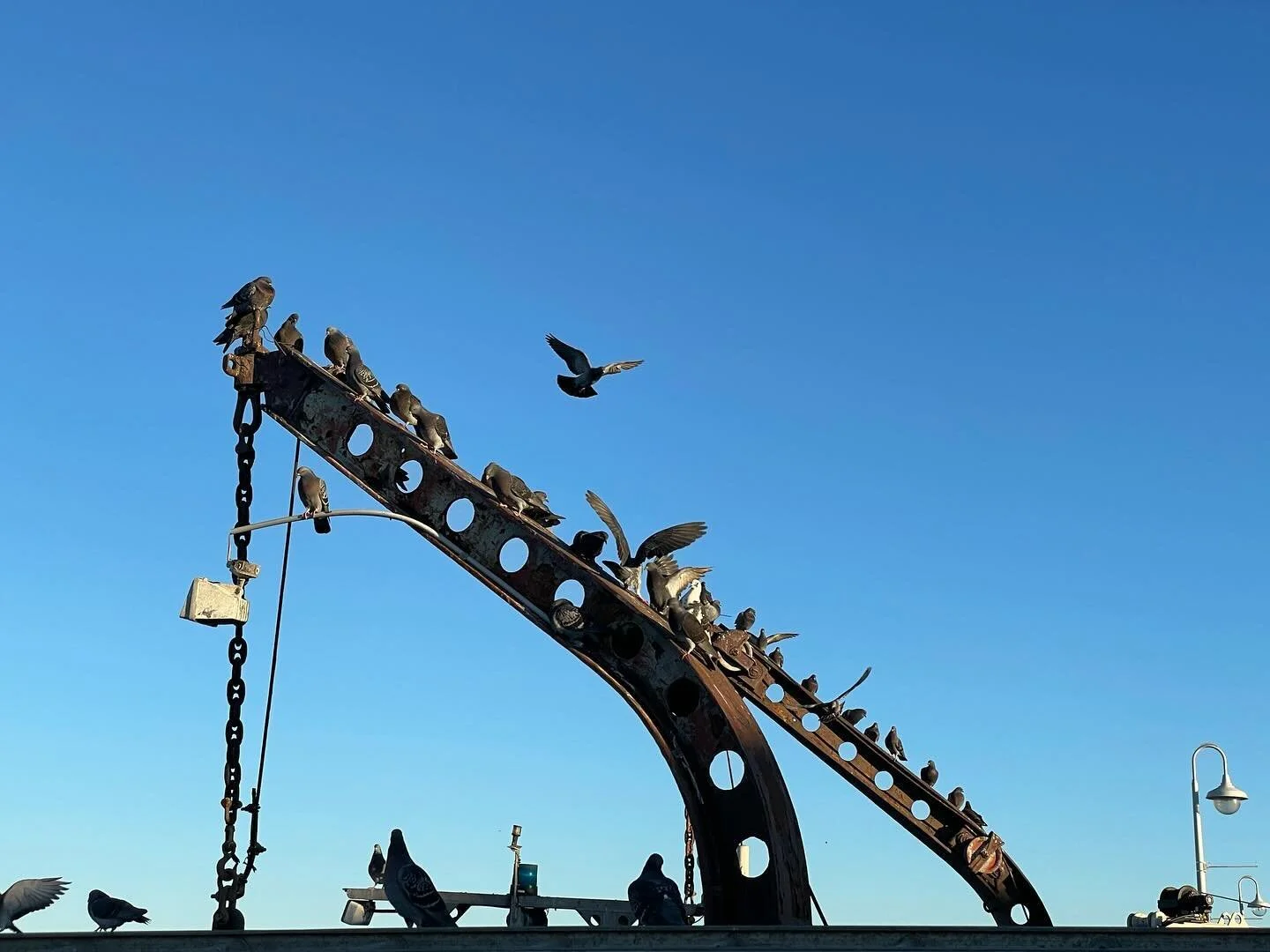 Full moon tonight. Who’s ready to take flight? Who’s ready for more spaciousness? Spaciousness that all of us have room to expand in, together. Spaciousness surrounded by a flexible membrane that holds intelligence to grow with you. With