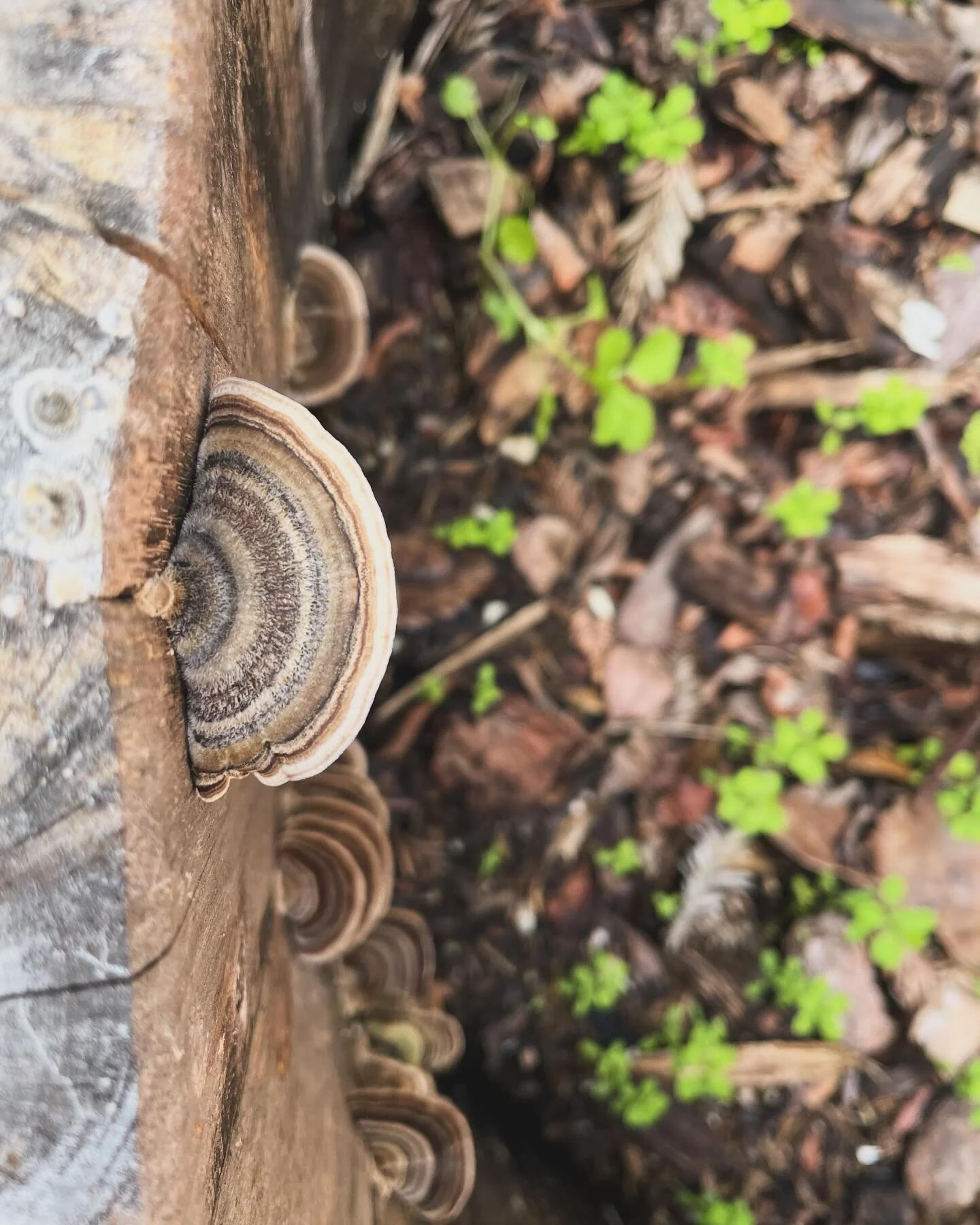 What causes us to speed through? I won’t.
In process. Dancing. Mixing. Slowly.
I’m taking my time 🙏🐉♾️❤️‍🔥