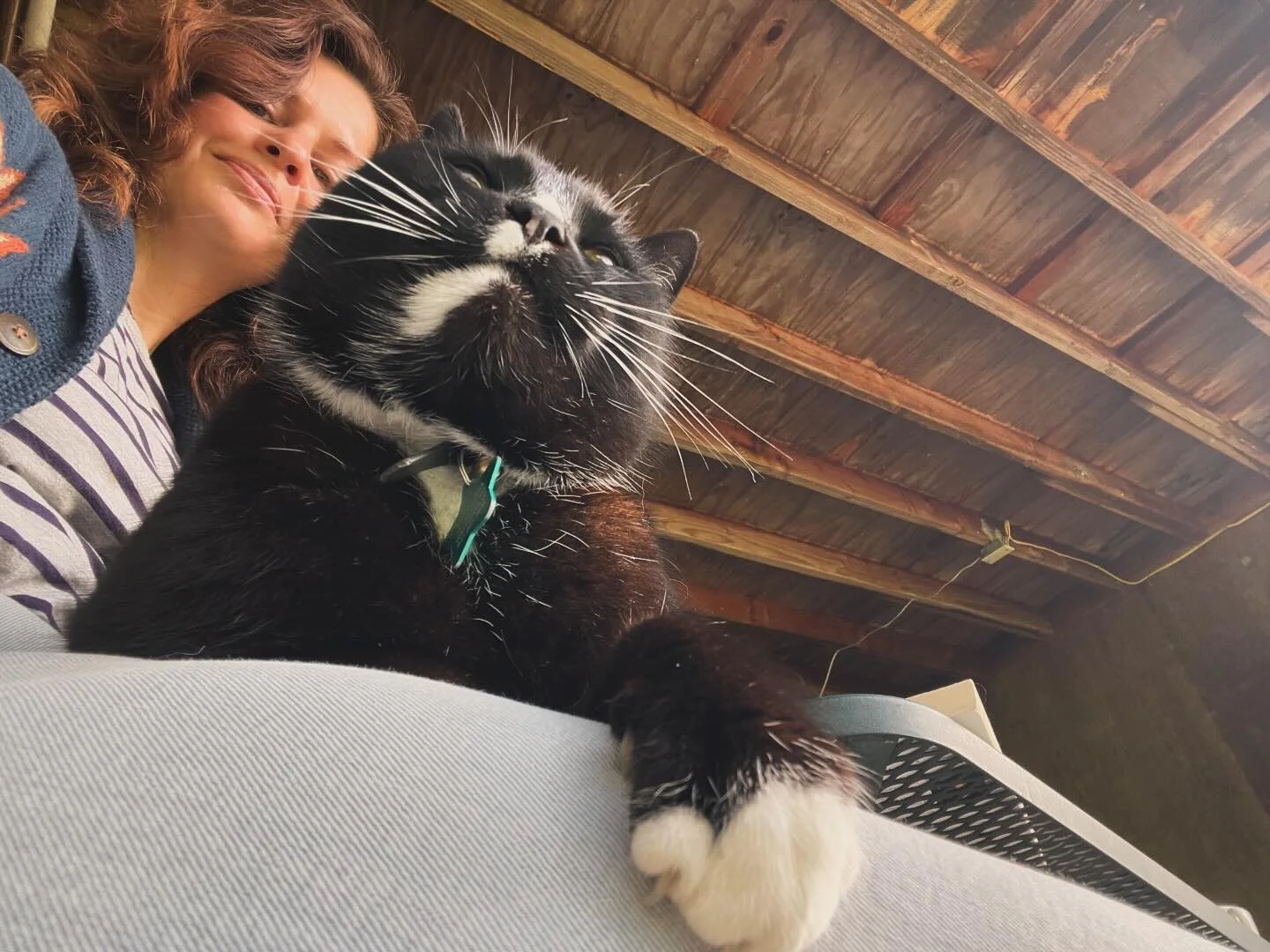 Things we’re “over”- 
Over pathologizing of everything
Attachment styles over-generalizing behavioral patterns
Nervous system regulation being the over-arching goal
Psychology taking precedent over physiology
There’s more