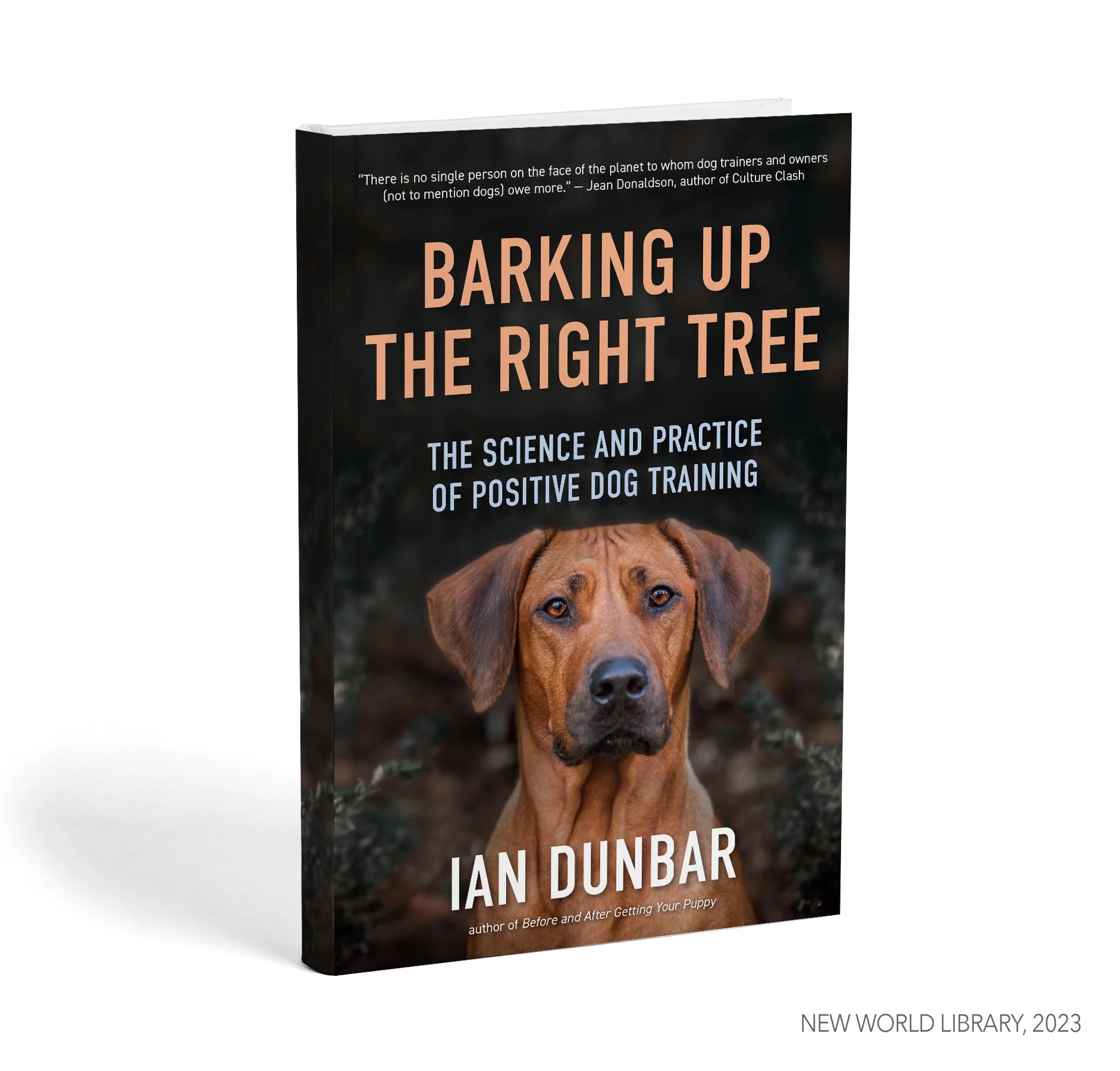 barking-up.jpg
