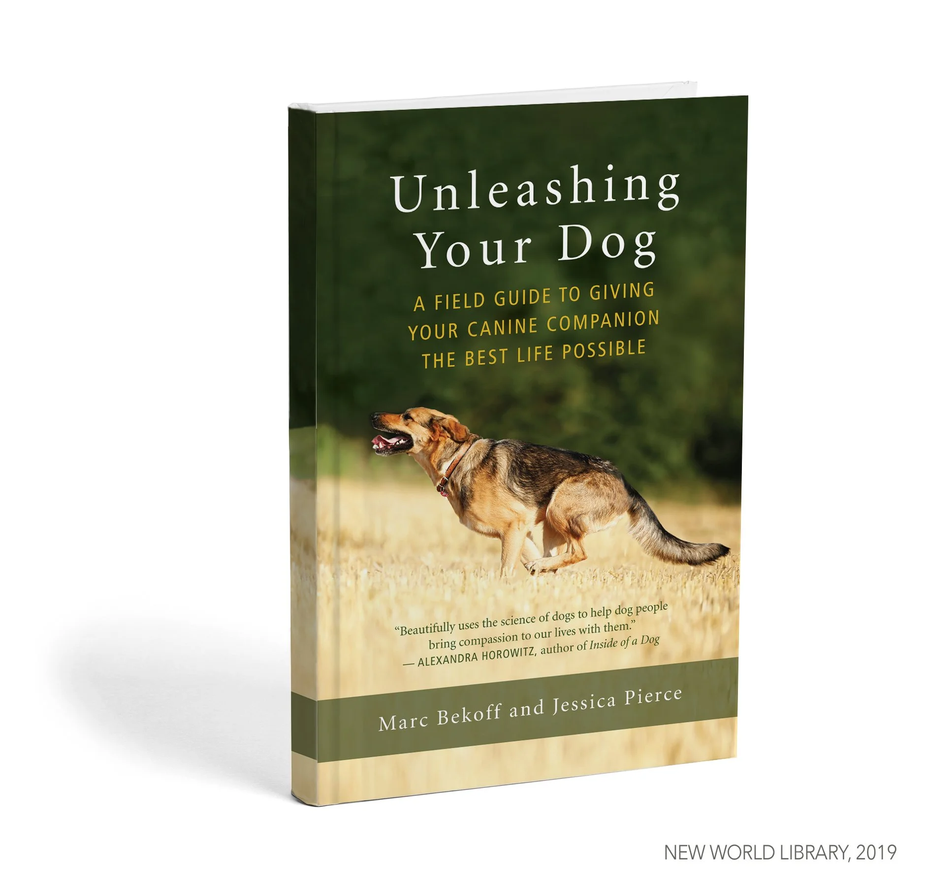 unleasing-your-dog.jpg