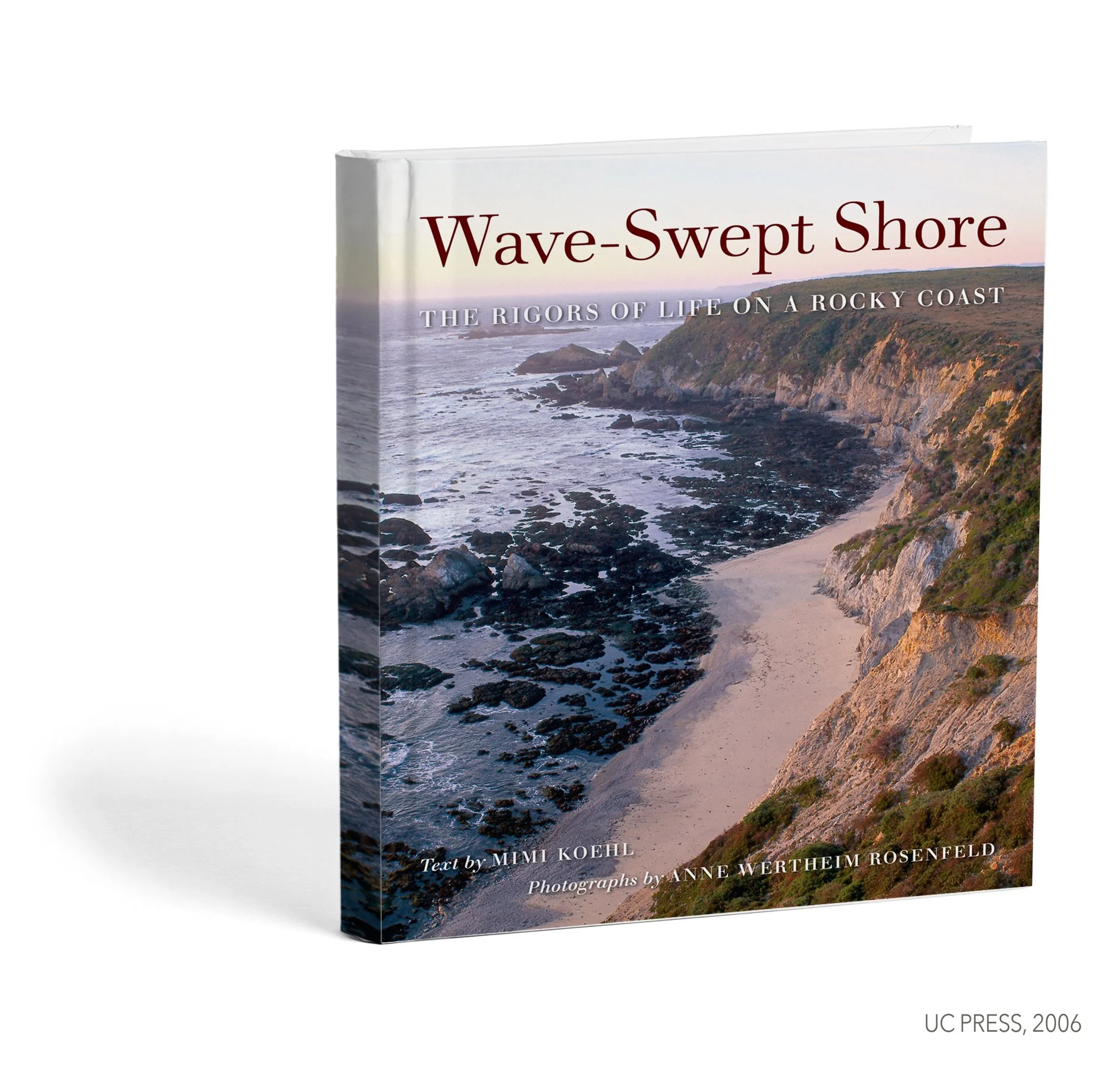 wave-swept-shore.jpg