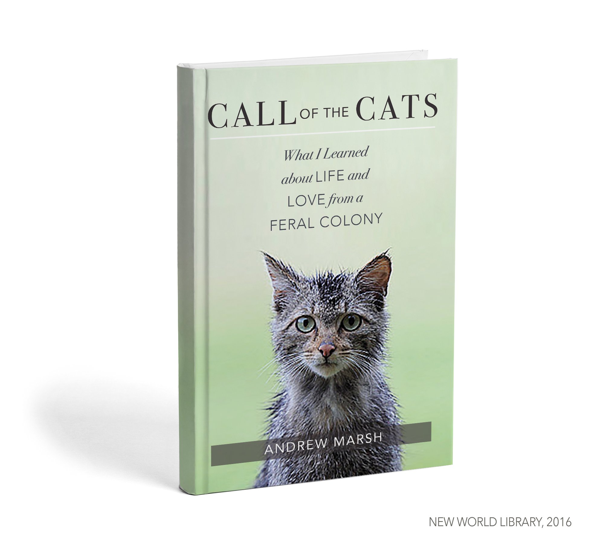 call-of-the-cats.jpg