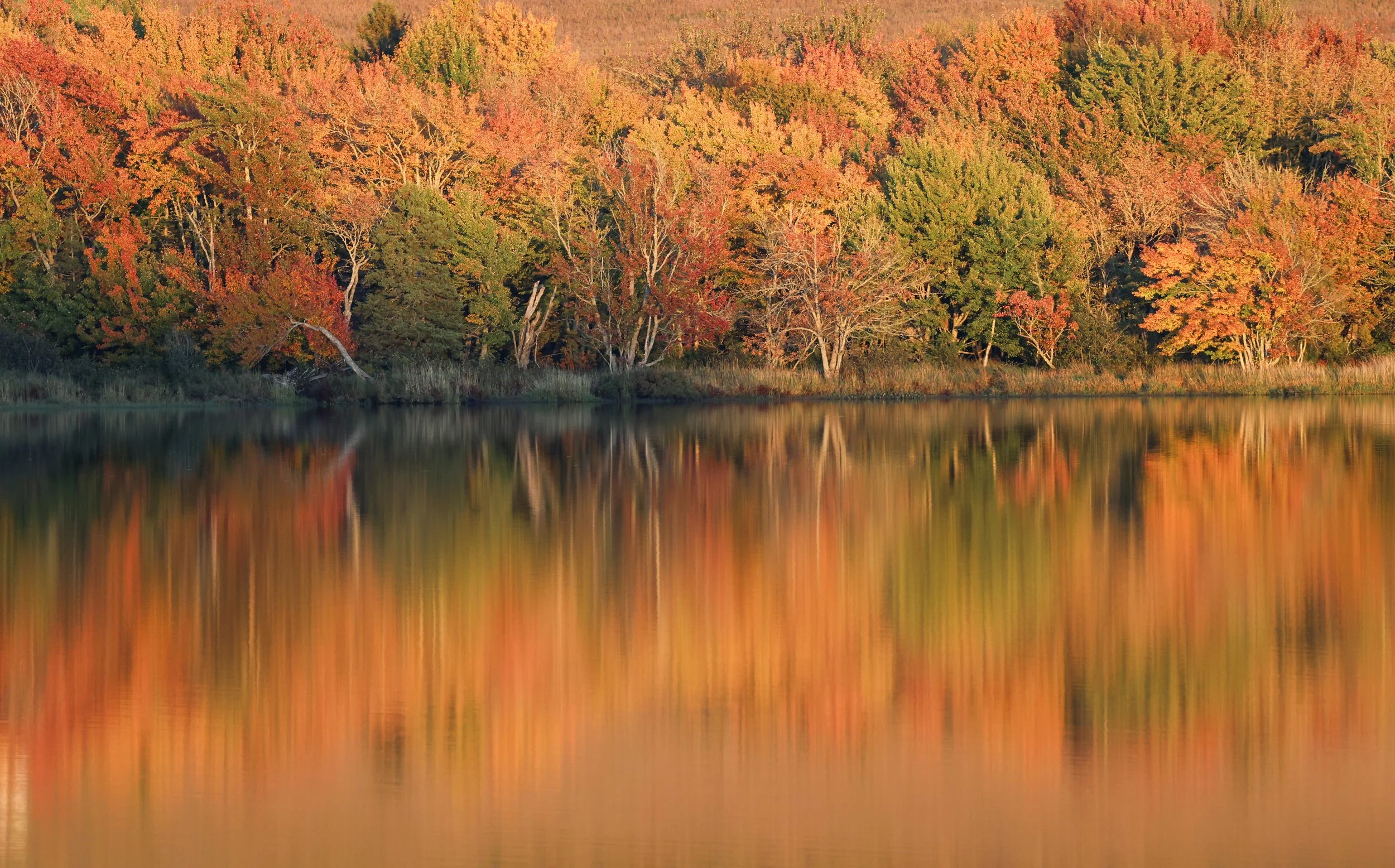 newville_0444-2.jpg