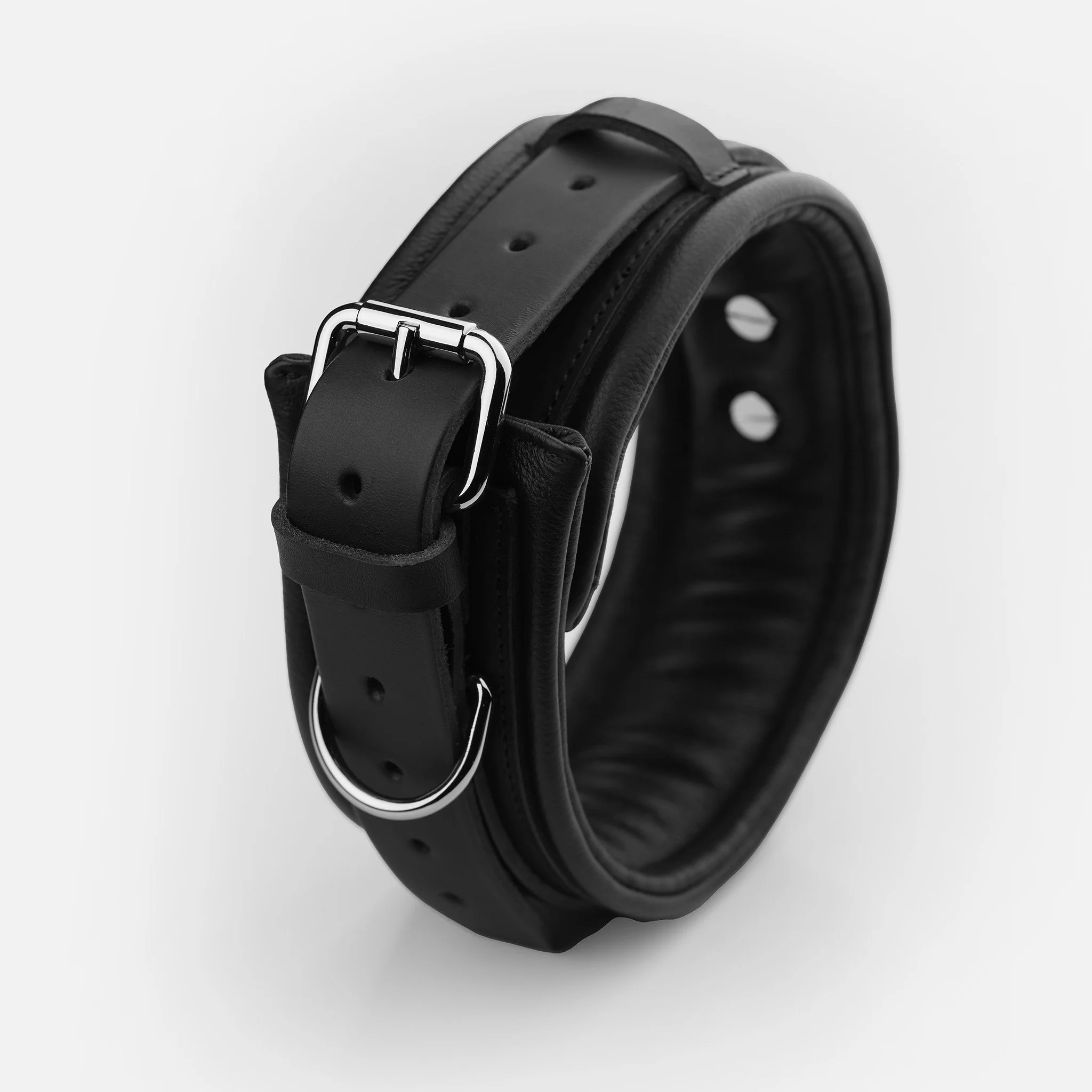 Adjustable buckle and D-rings on premium leather collar