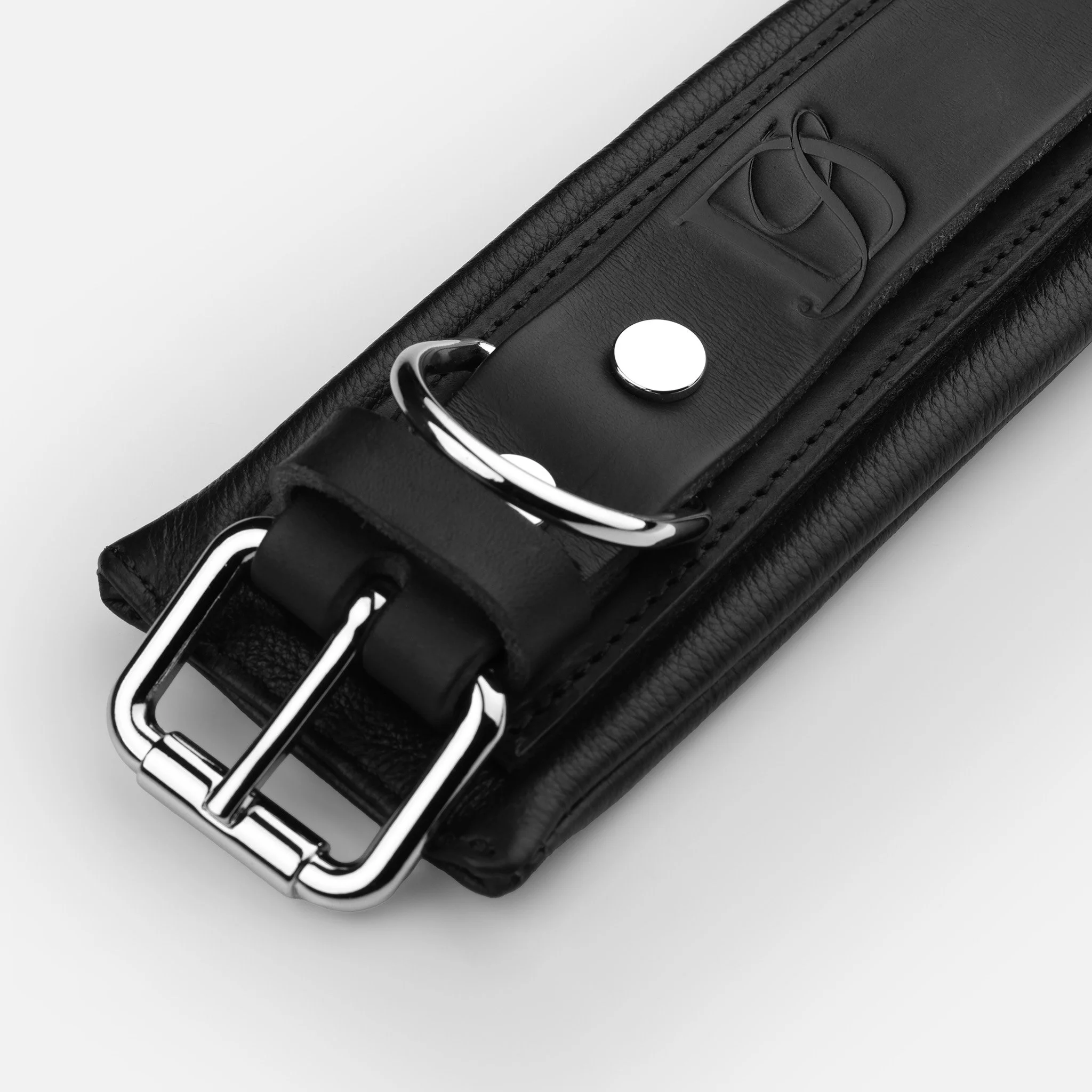 Close up of balck leather collar hardware including silver buckle and D ring