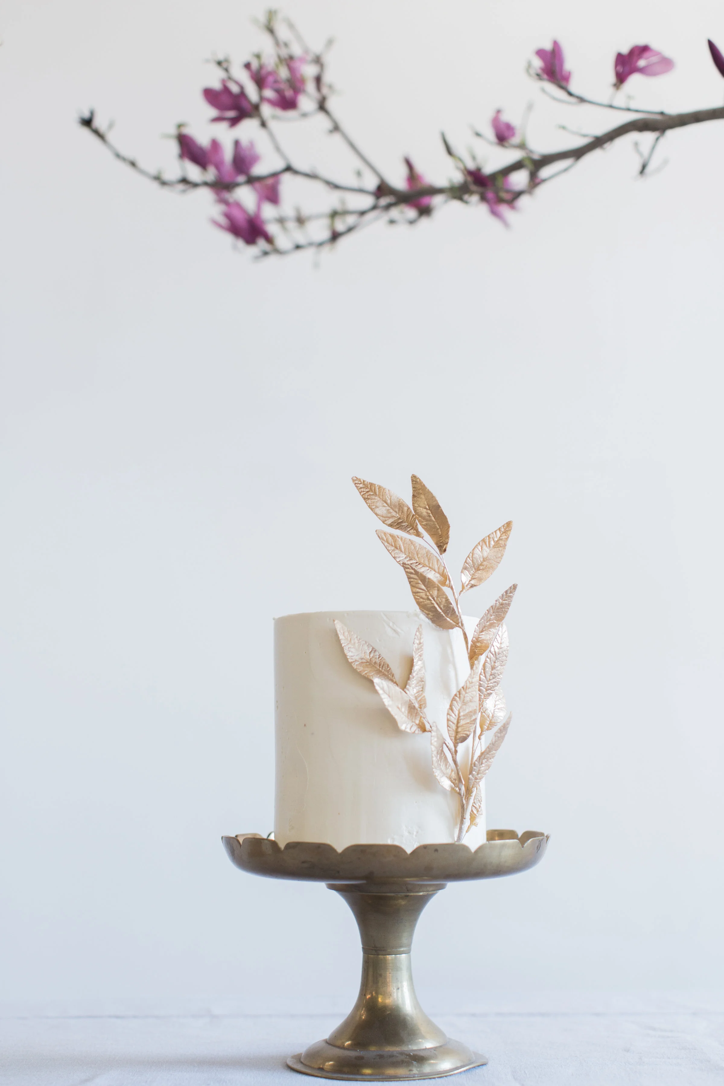 TVTRAN_Sonsanddaugthersphotography_sandbytv_styledshoot56.jpg