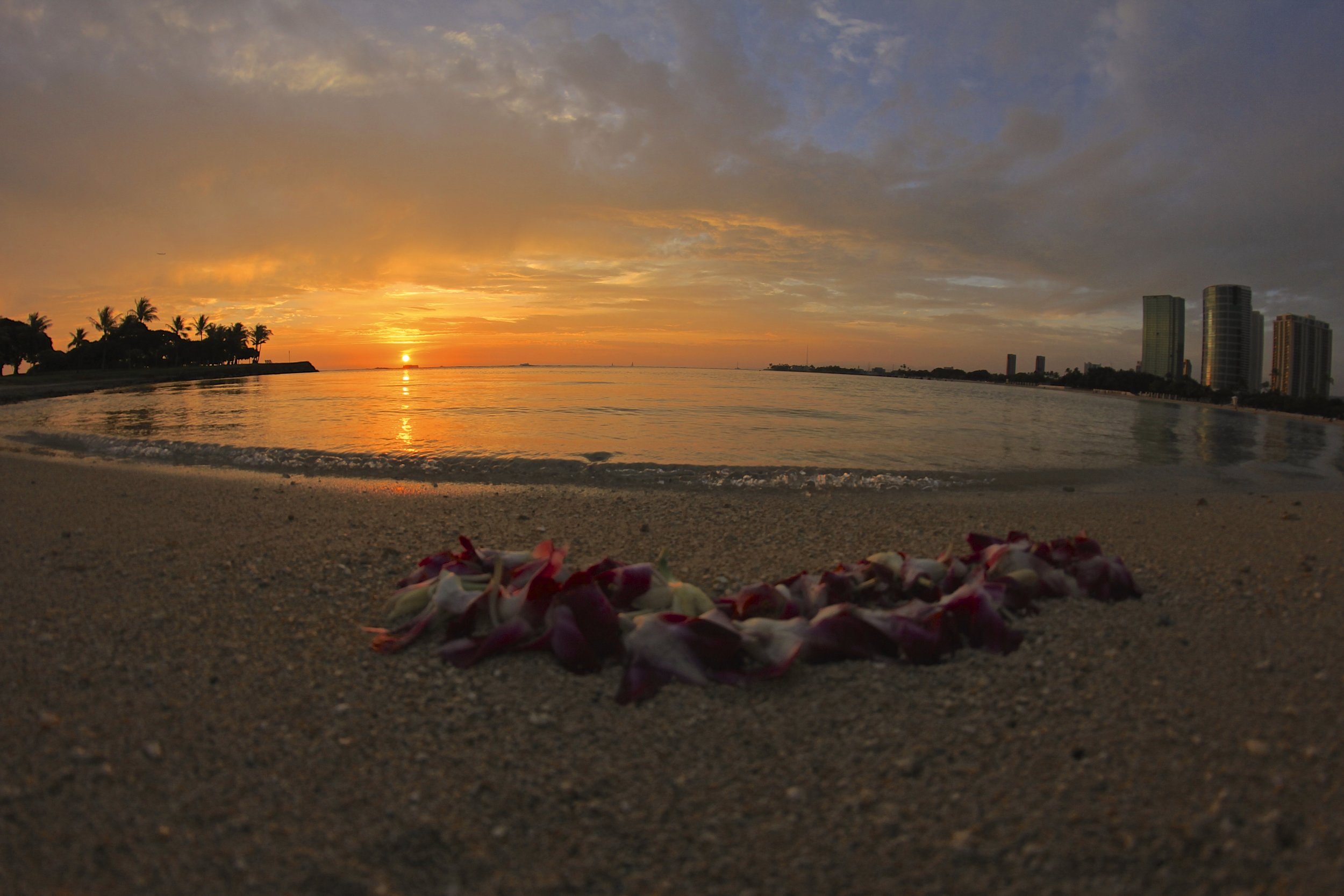 IMG_5398 - Version 2.jpg