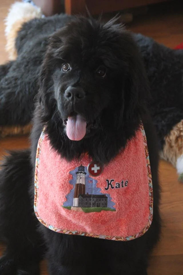 Kate.jpg