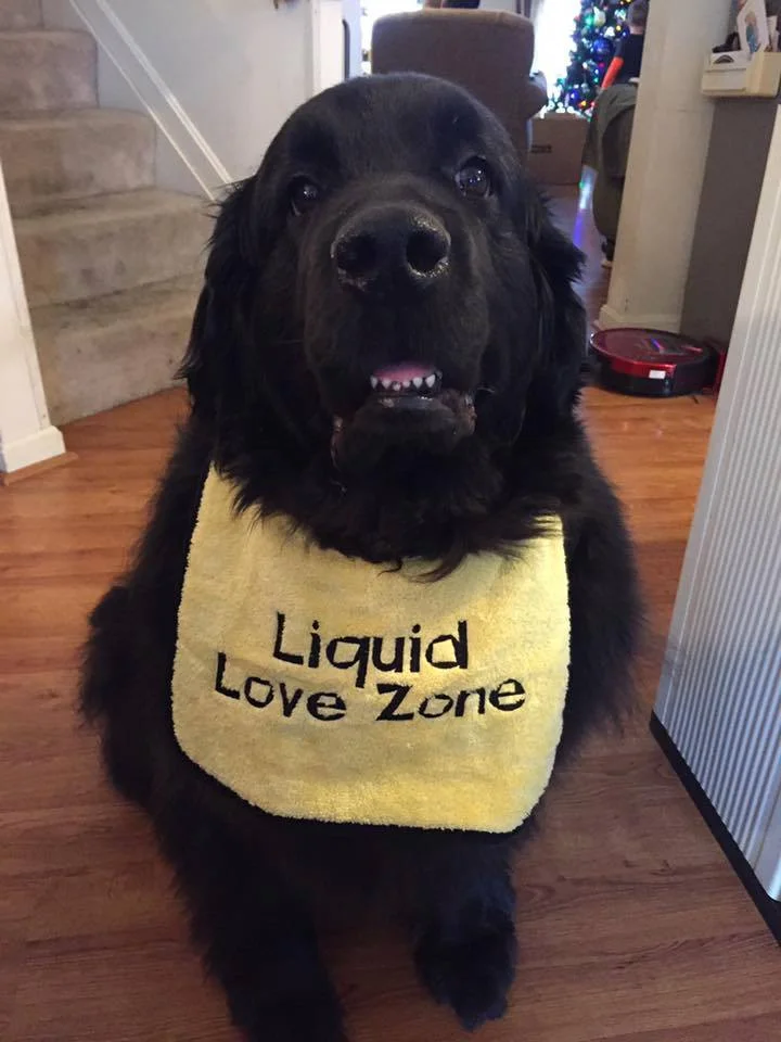 Love Zone Agnes.jpg